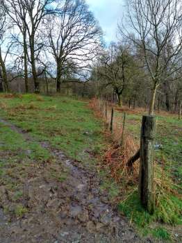 The site of the new native hedge to be planted next week if it dries out a bit