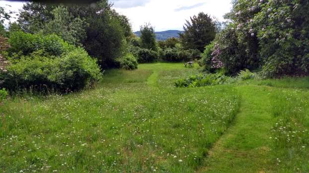 Short grass paths leading through lawn meadows to the pond