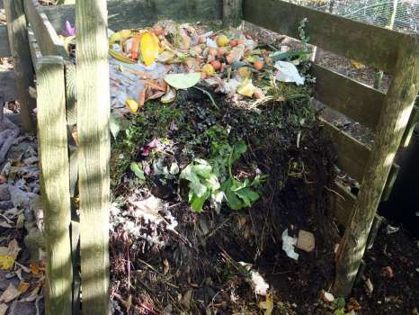One of our ten or so compost heaps - there are never enough!