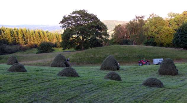 Racking hay in High Field in the late evening before rain arrives