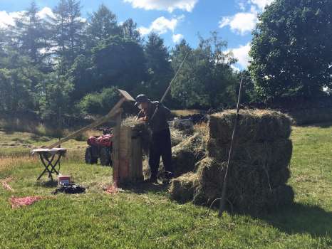Making bales with the hand baler in the hayfield - hot and sticky work!