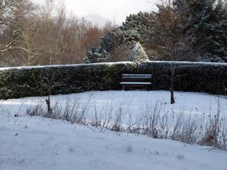 The snow emphasises the structure of the hedge and picks out the plastic deer netting
