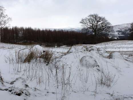The hay meadows last weekend with snow highlighting the anthills