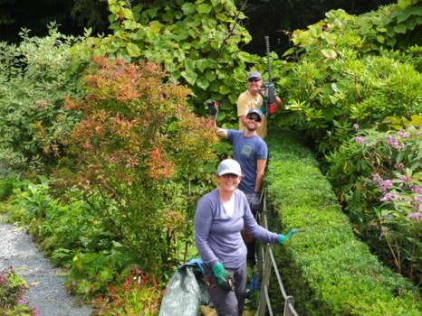 Lynne, Ben and Steve (from front to back) triumphally finishing the pruning of the yew hedge