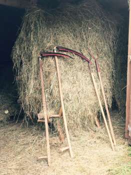 Austrian scythes leaning against a hay rick in the barn