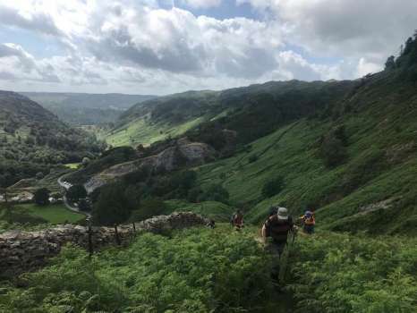 Waste high bracken which dominates the fells of the Lake District