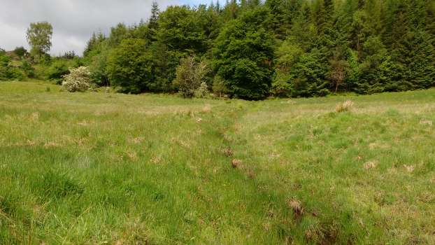 A drainage ditch in Raise How pasture