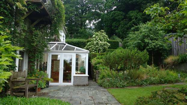 Elderflower in full blossom outside the conservatory