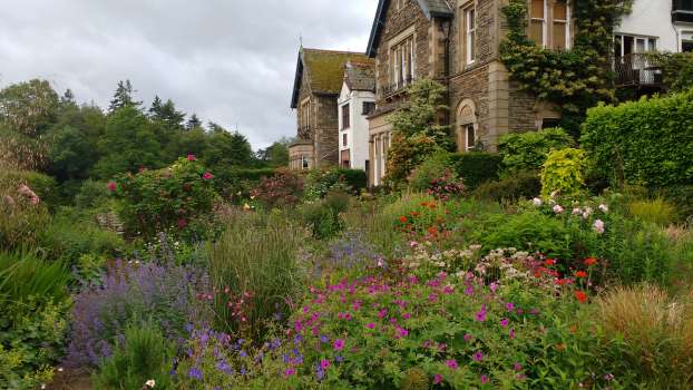 The patio full of old fashion roses and perennials attractive to pollinators. Rosa 'Rosarie de l'Hay, Rosa glauca and Rosa 'Fantin Labour' are in view. 