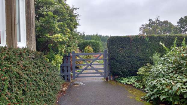 The new gate to the patio