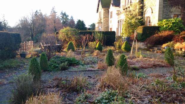 The patio showing its winter bones