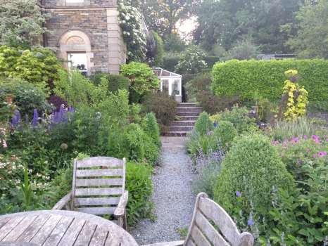 Looking up the path on the patio flanked by box pyramids in need of a trim  