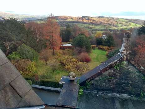 Looking toward Latterbarrow with the Metasequoia on the left