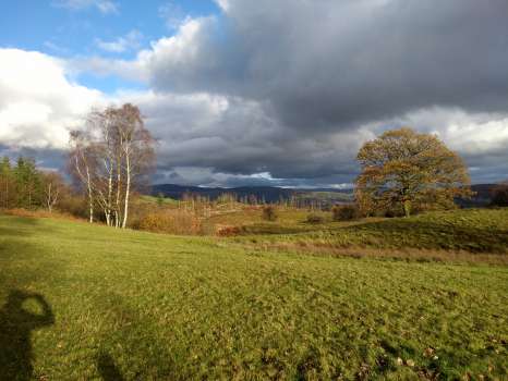 Views to the fells now that the larch has been felled