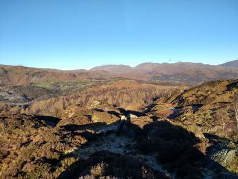 A mix of larch and birch in the foreground looking over to Helvellyn