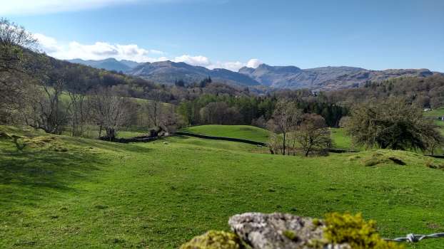 Shades of green in the landscape looking toward the Langdales from Skelwith Fold