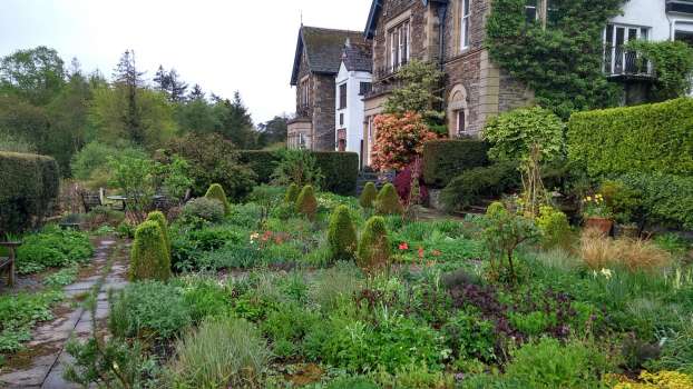 The flush of spring growth in the patio garden