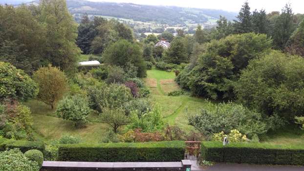 The front lawn before cutting soft and billowy