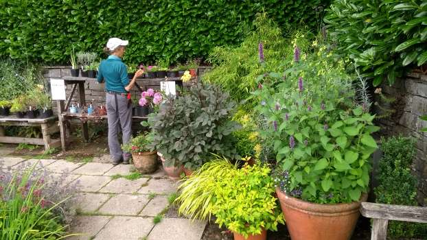 Chris with a group of pots by the plant table