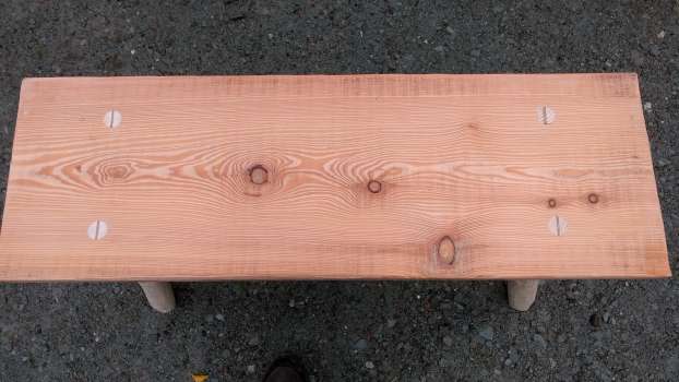 The lovely grain of larch on the seat of the new bench