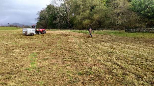 Collecting rushes in Middle Field