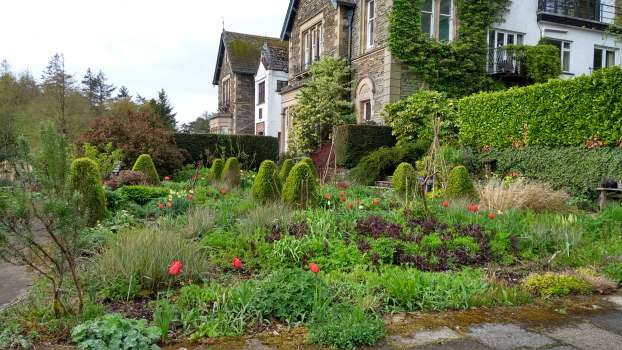 The patio with its spring flush