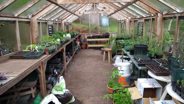 The greenhouse bursting at the seams