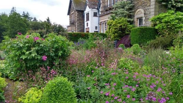 The pink and purple moment in the patio