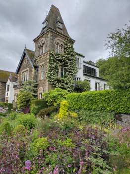 Climbing hydrangea on the tower