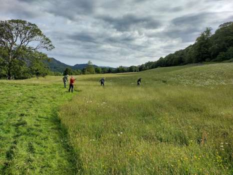 Scything the meadow at Brantwood