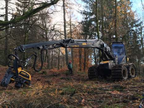 The beast gobbling up the forest on National Trust land