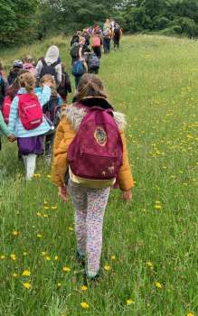 Primary school students having a look at our wildflower meadows