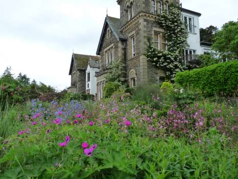 The patio garden resplendent with red campion, Geranium psilostemon and climbing hydrangea taking over the house