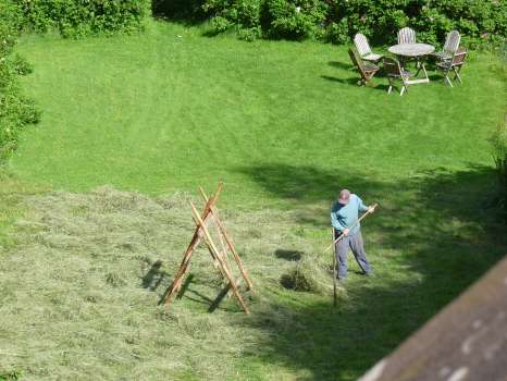 Making hay for our ponies