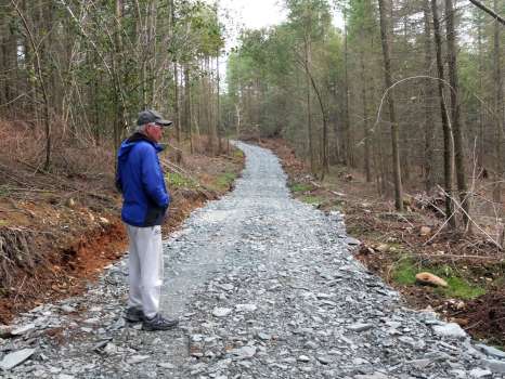 Inspecting the new forest track which is used to extract the thinnings from the plantation
