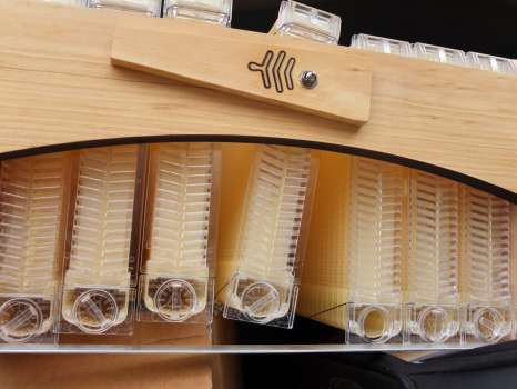 Close-up of frames from the side, showing at the bottom of each where the tubes are inserted to drain off the honey.