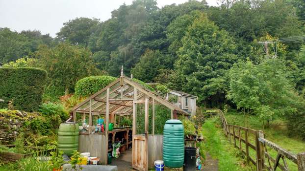 Tapestry of greens developing behind the greenhouse