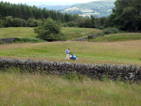 Yewfield's diverse hay meadows qualify for support due to their comparative rarity