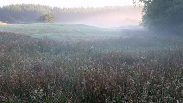 Sunrise and spider webs over Middle Field