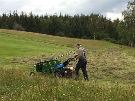 The green section was cut several weeks ago, Gary is turning the current cut to dry it and the uncut sections in foreground and background may be mown later if weather allows
