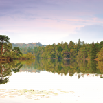 The view of Tarn Hows