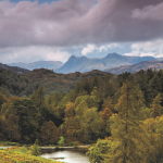 The view of Tarn Hows