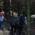 Gardener Gary Primrose in the woods