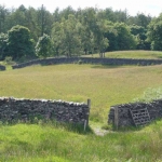 Walk towards Tarn Hows from Yewfield